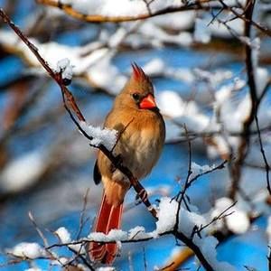 Meet your Posher, April